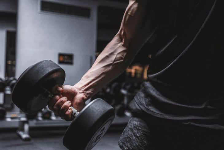 Nishant Phule Arms Bicep and Tricep Workout Plan